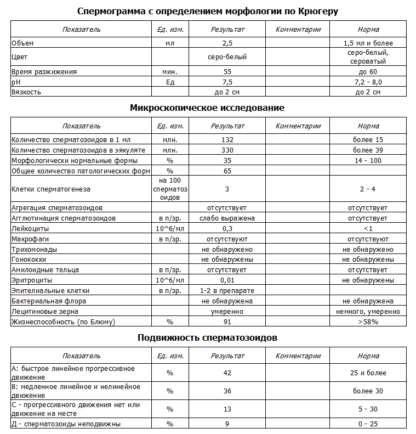 Оформление медицинских справок в Москве. Результаты спермограммы